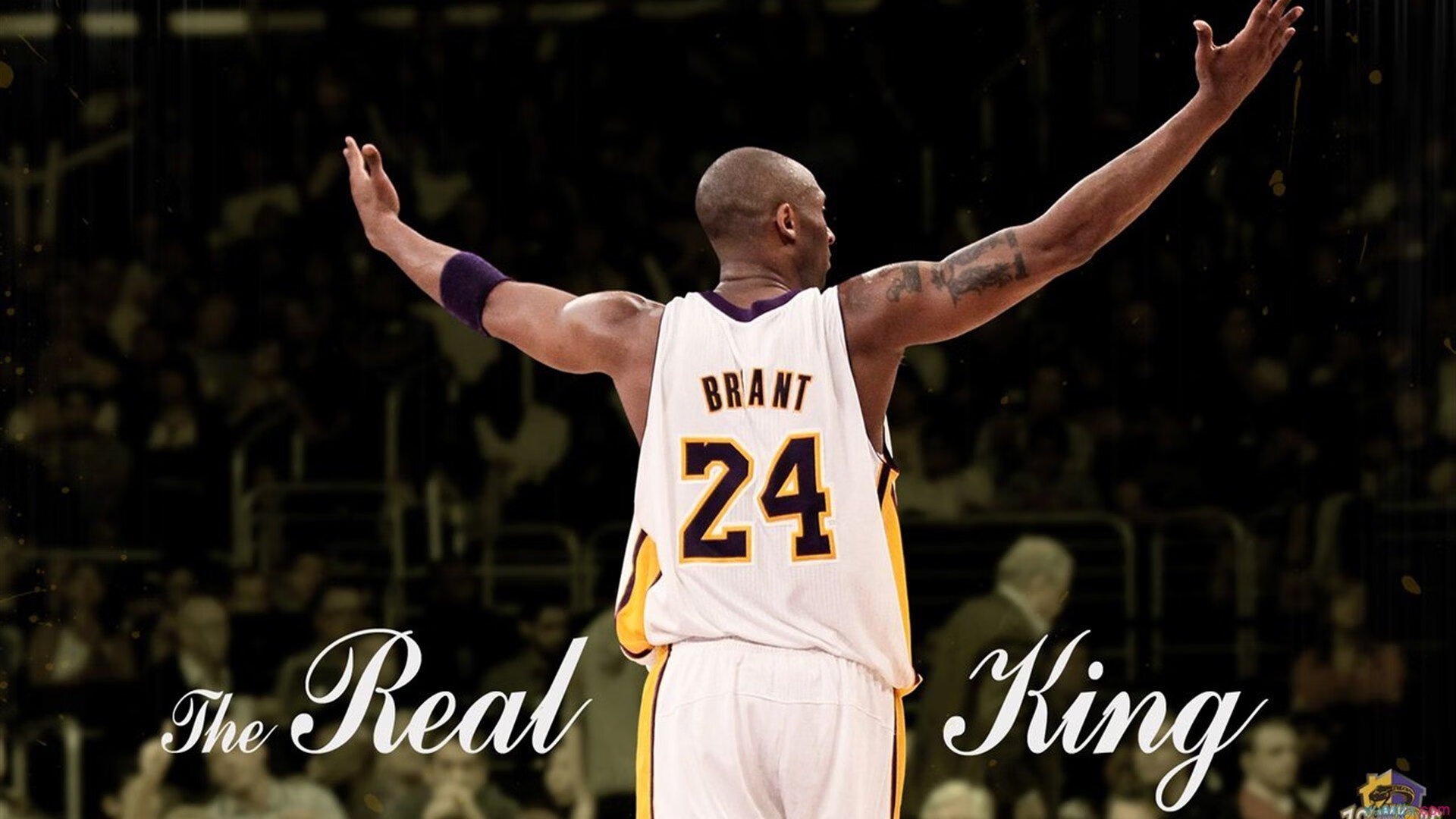 【战术创新】教练如何利用新规则制定出“狠招”？，教练挑战规则